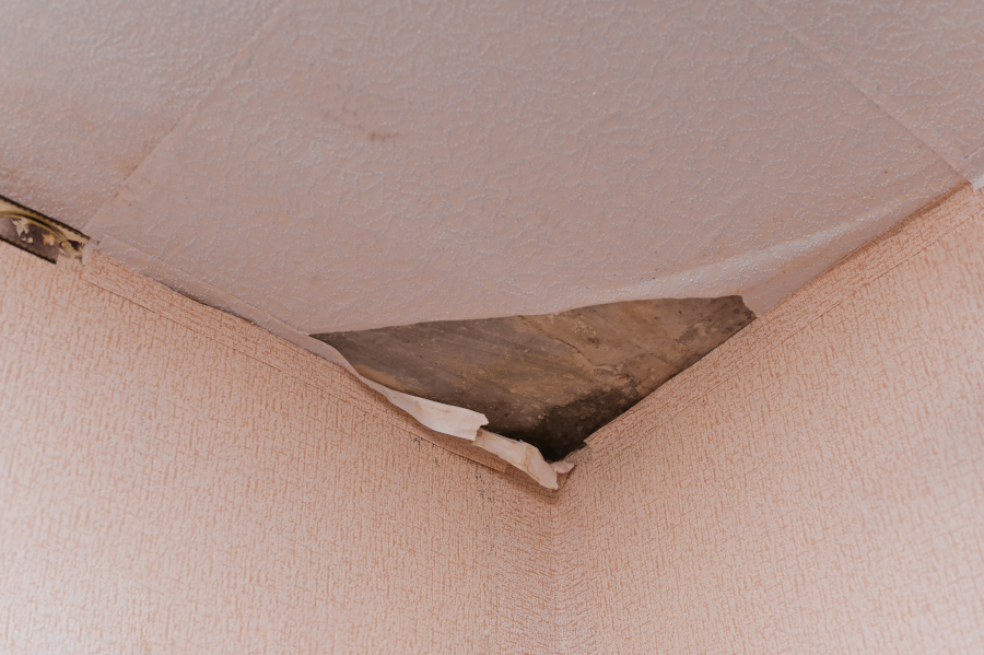 Leak Detection Calgary: Advanced Methods for Finding Hidden Plumbing Issues